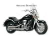 Double Groove für Kawasaki VN 900 Modelle mit Kat., E-geprüft 