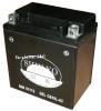 Shin-Yo Gel-Batterie für Yamaha XV 1600 A Wild Star 
